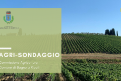 Agrisondaggio