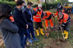 Alberi scuole