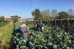 Convegno Agricoltura Sociale