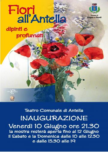 Fiori all’Antella - Fiori dipinti e profumati