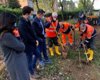 Alberi scuole